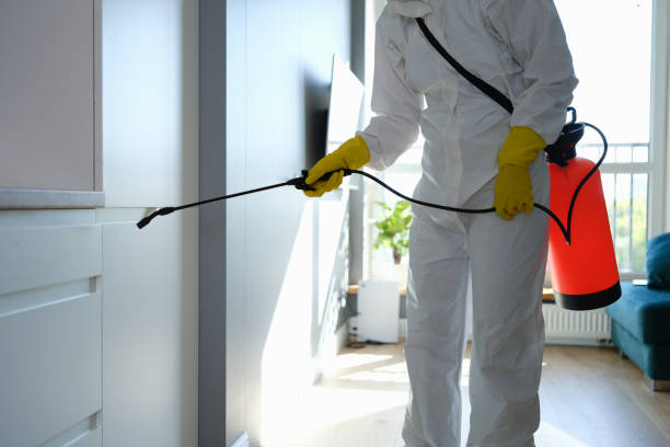 Best Toxic Mold Removal  in Locust, NC
