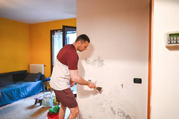 Professional Mold Removal in Locust, NC